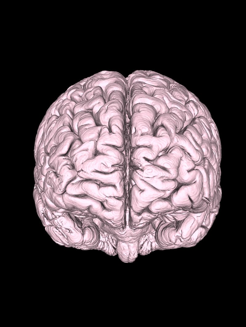 Vista: 3D Geometry View